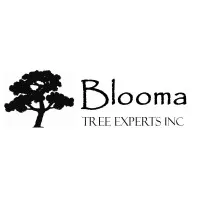 Blooma Tree Experts