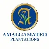 Amalgamated Plantations Pvt Ltd