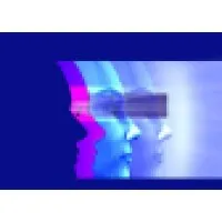 Microvision Solutions LLC