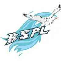 Brilliant Seagull Private Limited