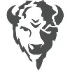 Bison Technologies Bison Technologies