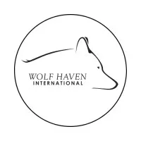 Wolf Haven International