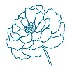 Harpeony | Healing to Awakening