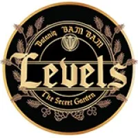 The Levels pub