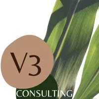 V3 Consulting