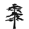 Collectively Rooted Collectively Rooted
