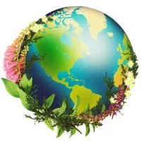 Chrysalis Natural Medicine Clinic