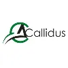 Callidus
