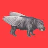 Flying Hippo Brand + Digital Flying Hippo Brand + Digital