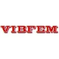 VIBFEM