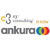 c3/consulting