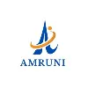 Amruni IT Solutions Private Limited Amruni IT Solutions Private Limited