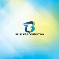 BlueLeap Consulting Pvt.Ltd