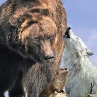 Grizzly & Wolf Discovery Center