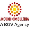 Accubic Consulting Accubic Consulting