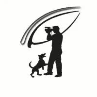 The Third Eye Films The Third Eye Films