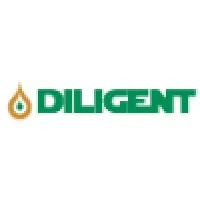Diligent Technical Services Ltd
