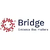 Bridge Medical Consulting Bridge Medical Consulting