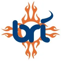 Brownrice Internet Inc.
