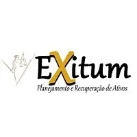 Exitum Planejamento e Recuperação de Ativos Exitum Planejamento e Recuperação de Ativos