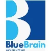 BlueBrain Services Ltd BlueBrain Services Ltd
