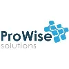 Prowise Solutions Inc Prowise Solutions Inc