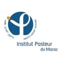 Maroc emploi