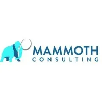 Mammoth Consulting