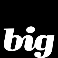 The Brand Innovation Group