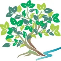 Mindfulness Everyday