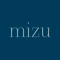 Mizu Medical Holdings