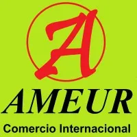 AMEUR Comercio Internacional email format