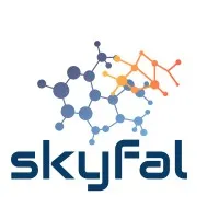 Skyfal Security Systems