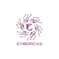 CybOrcas