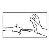 Nonviolence International