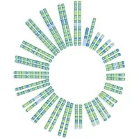 Soleno Therapeutics, Inc.