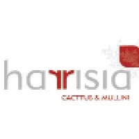 Harrisia