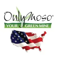 OnlyMoso USA