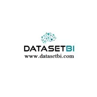 DatasetBI & BigData DatasetBI & BigData
