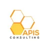 APIS Consulting APIS Consulting