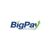 BigPay Ghana