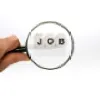 Job Seeker Job Seeker