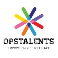 OpsTalents LLC
