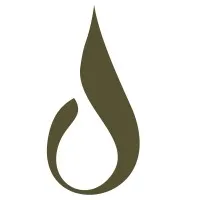 Wellspring Studio Wellspring Studio