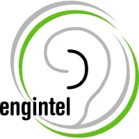 ENGINTEL – The Languages Expert 