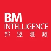 BM Intelligence Group BM Intelligence Group