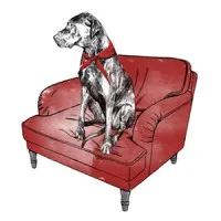 DNG Interiors DNG Interiors