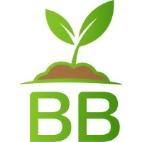 Perpetual Pittsfield