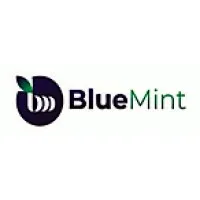 Blue Mint Pvt. Ltd.