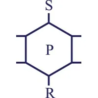 Singh Plasticisers & Resins (India) Private Limited